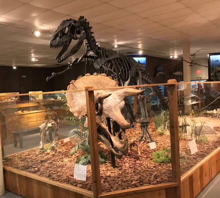brazosport-museum-of-natural-science-photo